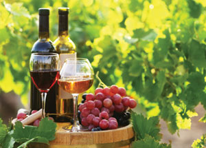 Honey Malcom Winery-winery events our wines